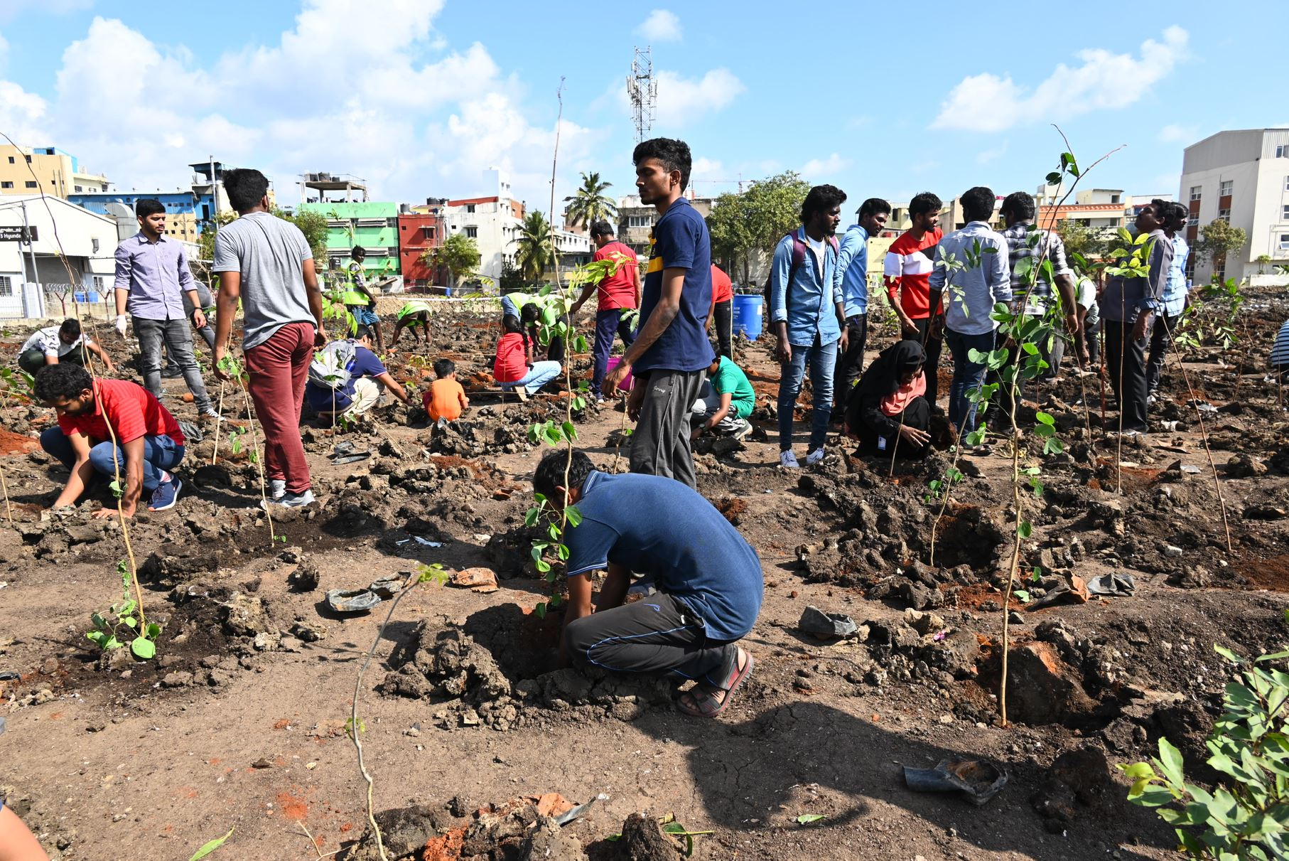 Chennai, India: PayPal employees plant trees with PayPal Community Impact partner, ExNoRa in January 2023